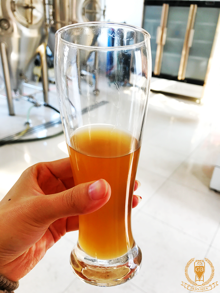 How To Improve Wort Plato