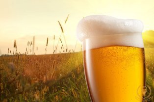 How to Brew Beer-Home brewing