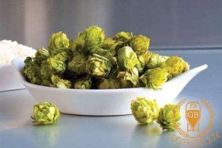 The Use Of Hops In Beer Brewing
