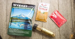 How to Choose a Yeast Strain For Beer Brewing?