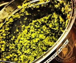 When do you dry hopping?