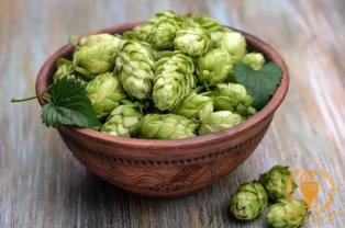 How long does the hops soak?