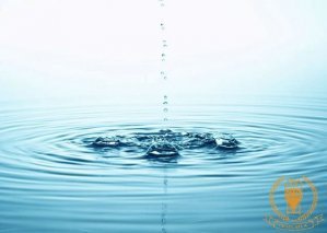 What are the basic requirements for beer brewing water?