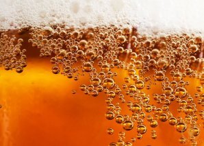 What are the main factors that make up the typicality of beer?