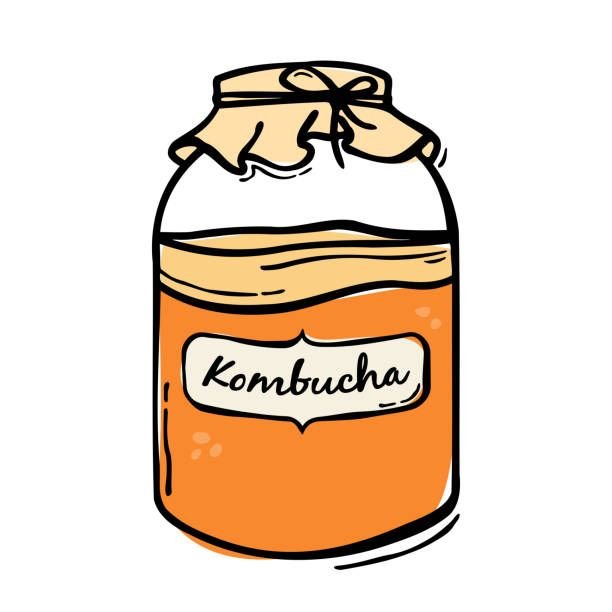 Where Science Meets Craft-Efficient 2000L Kombucha Brewing System