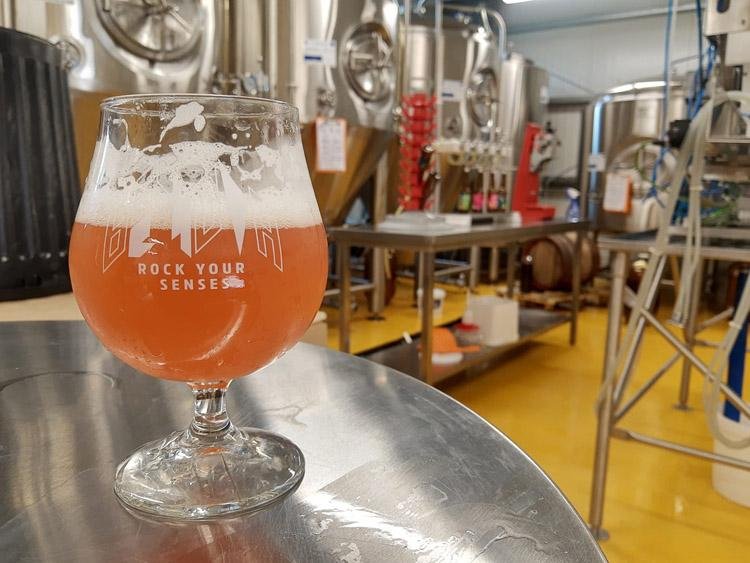 1600L Brewery Equipment