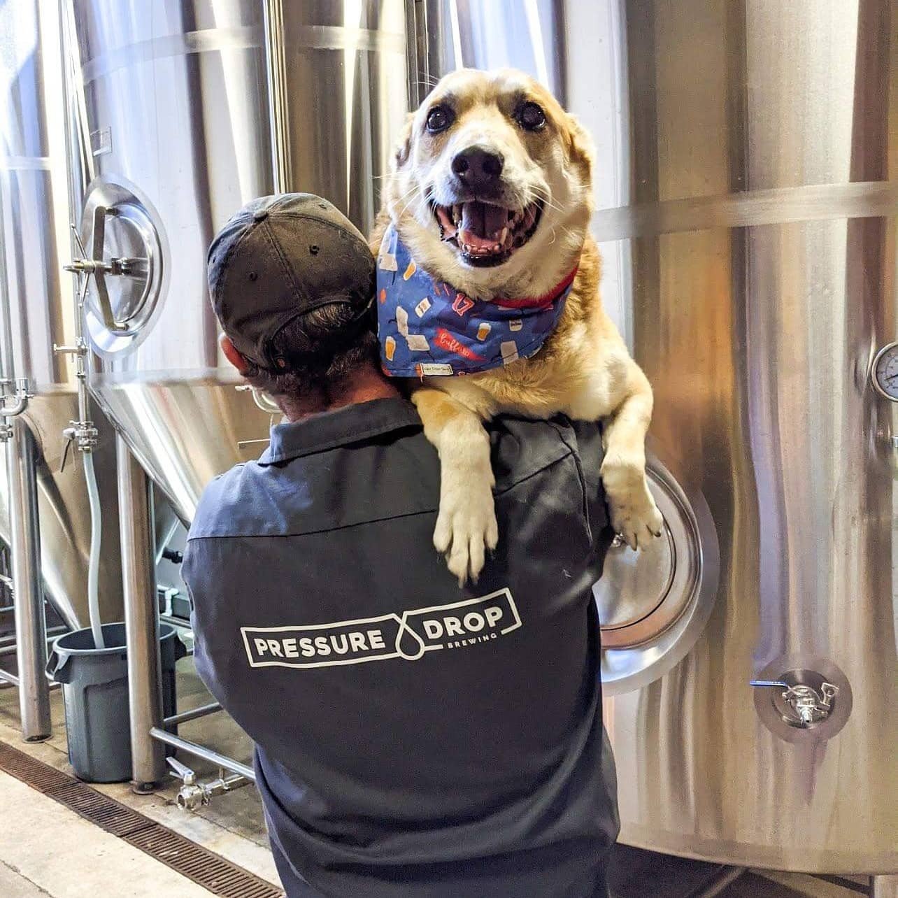 2000L Beer Brewing Brewery Equipment 3