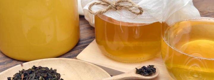 Jun kombucha production equipment