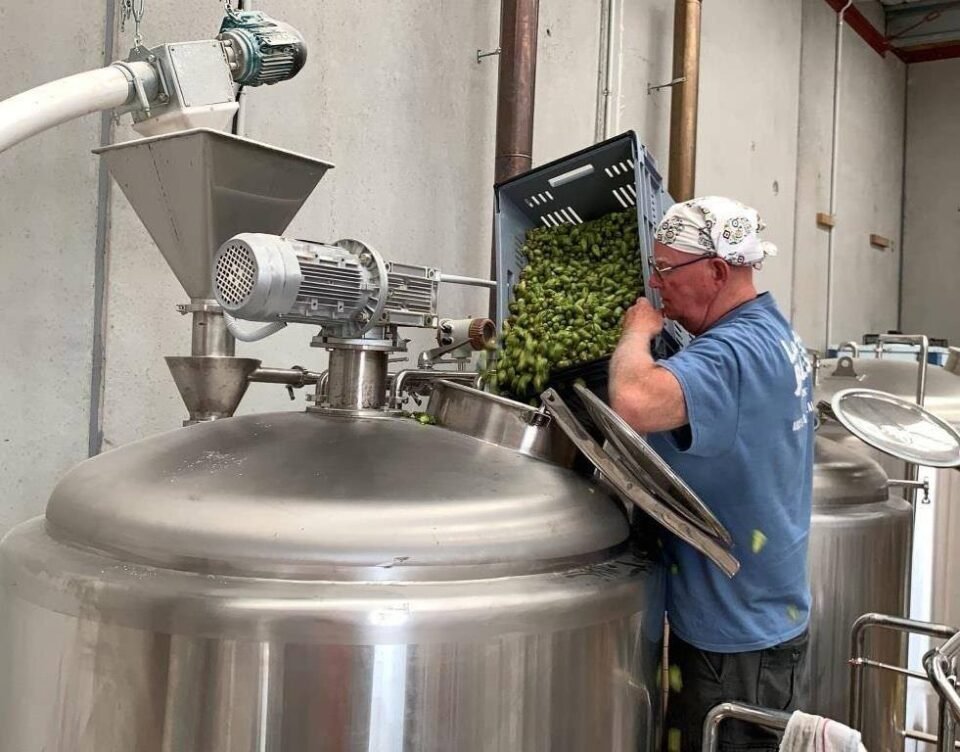 Laughing Bones Brewing Co.5 e1766218300518