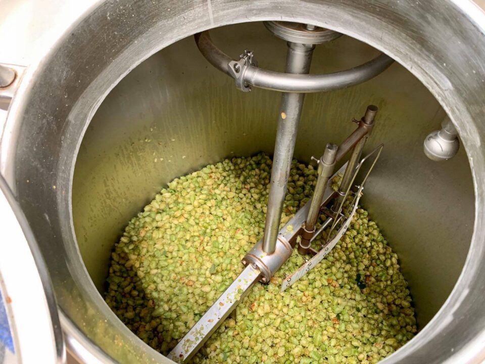 Laughing Bones Brewing Co.6 e1766218330244