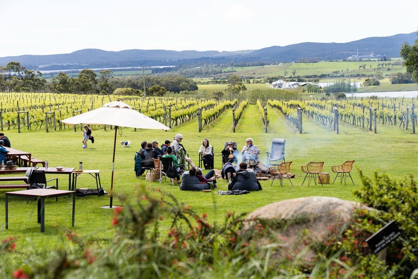 1500L 3000L 5000L 10000L Winery Equipment