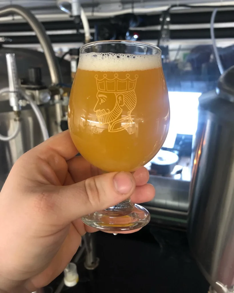 500L two brewery equipment in Canada