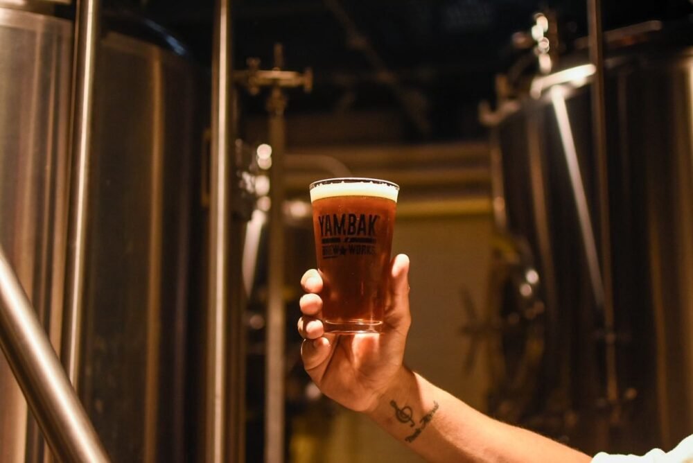 5BBL two vessel beer brewing system