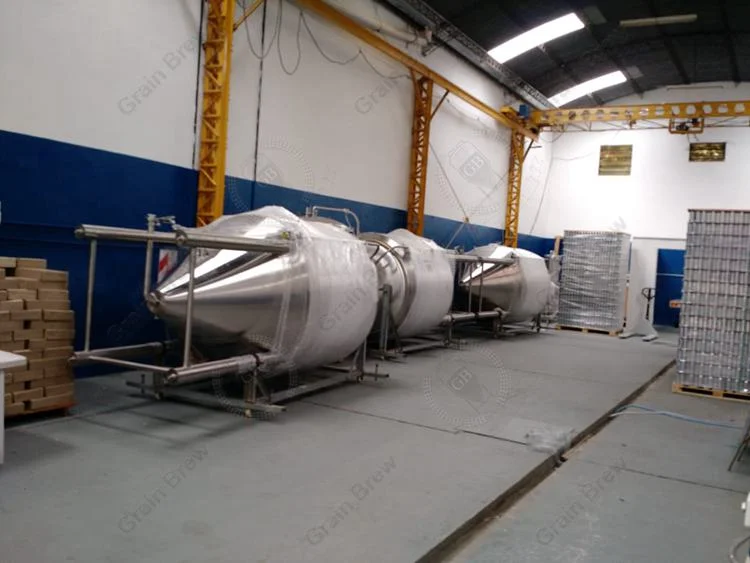 1500L & 3000L Fermentation Tanks Successfully Arrive in Argentina