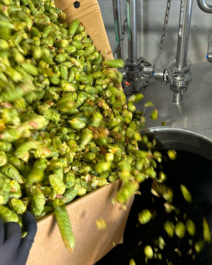 1200L Brewery Equipment in Australia – Bells Batch Brewing