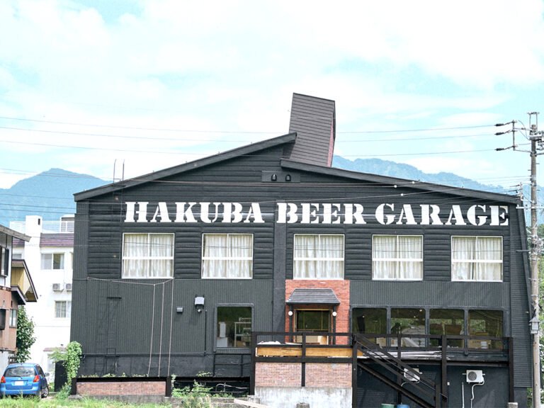 300L Craft Beer Brewing Equipment (1)