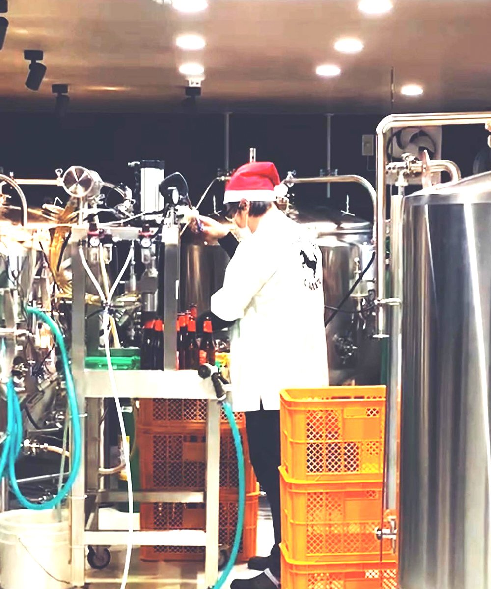 300L Craft Beer Brewing Equipment 4