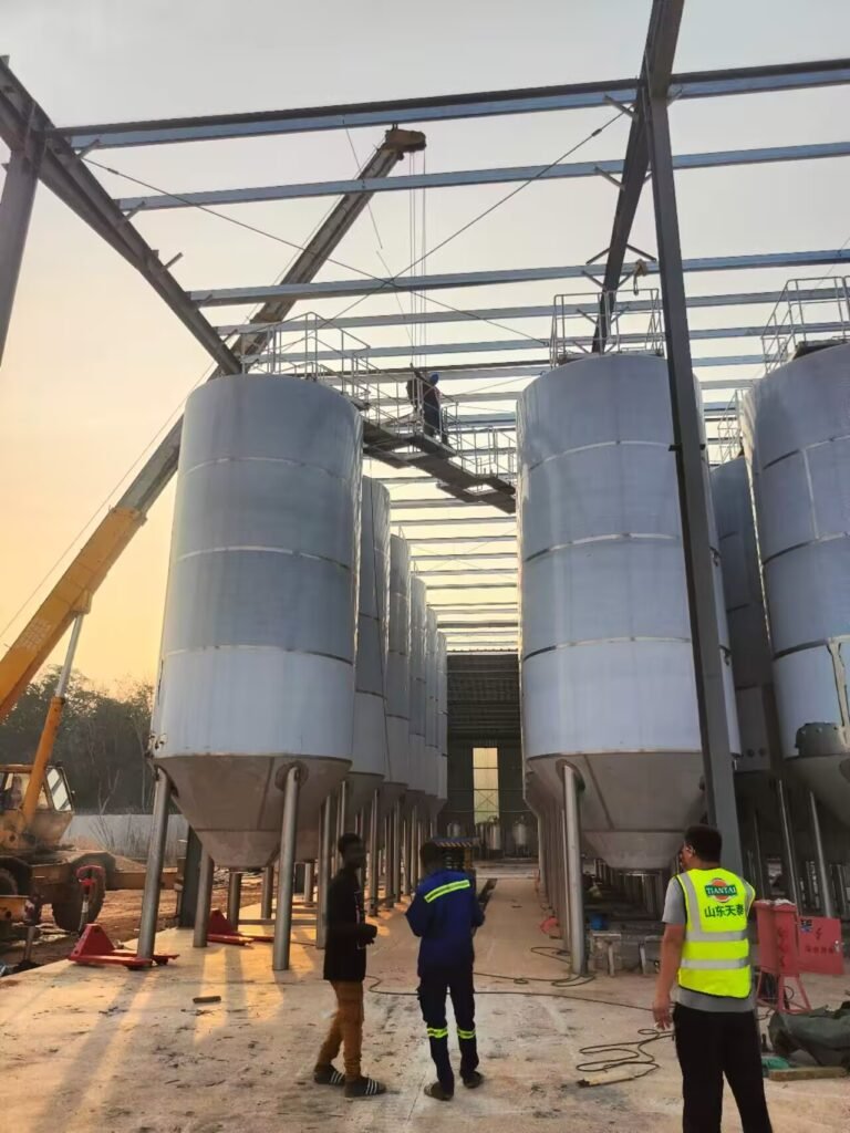 657386855 2475709759537778 854206769261457621 n