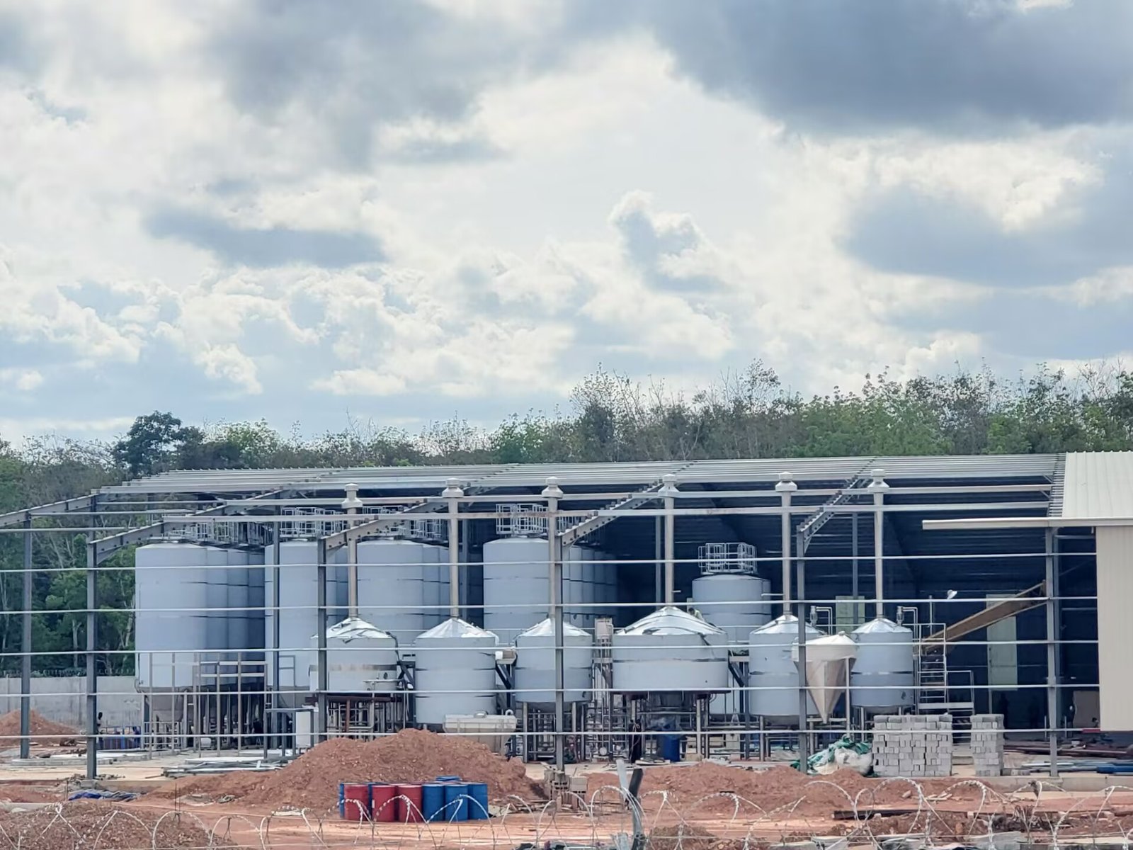 equipo automático de cervecería