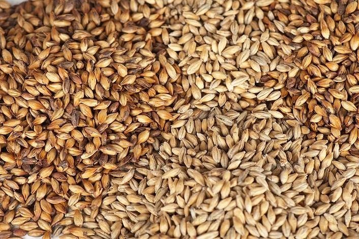 malt quality