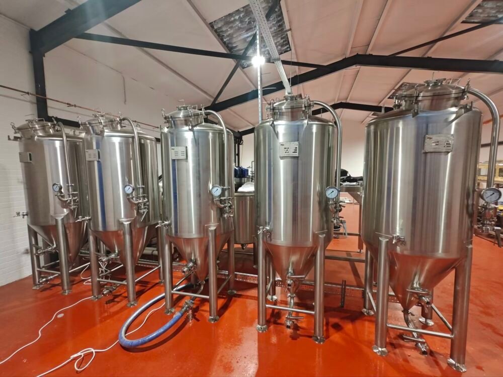 500L single-layer fermenter