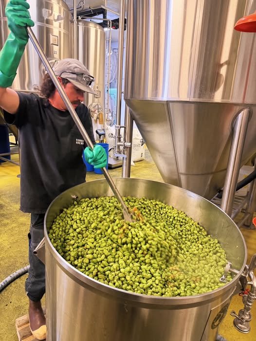 stockage du houblon