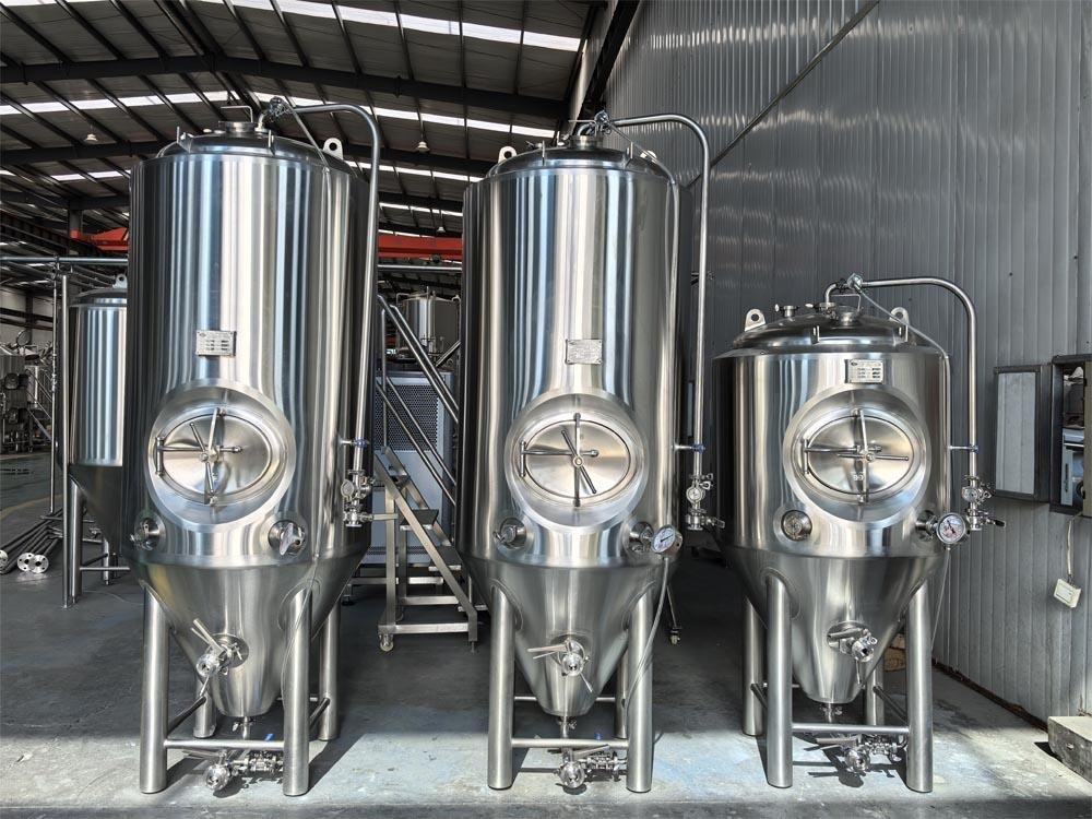 300L steam two vessel brewing system