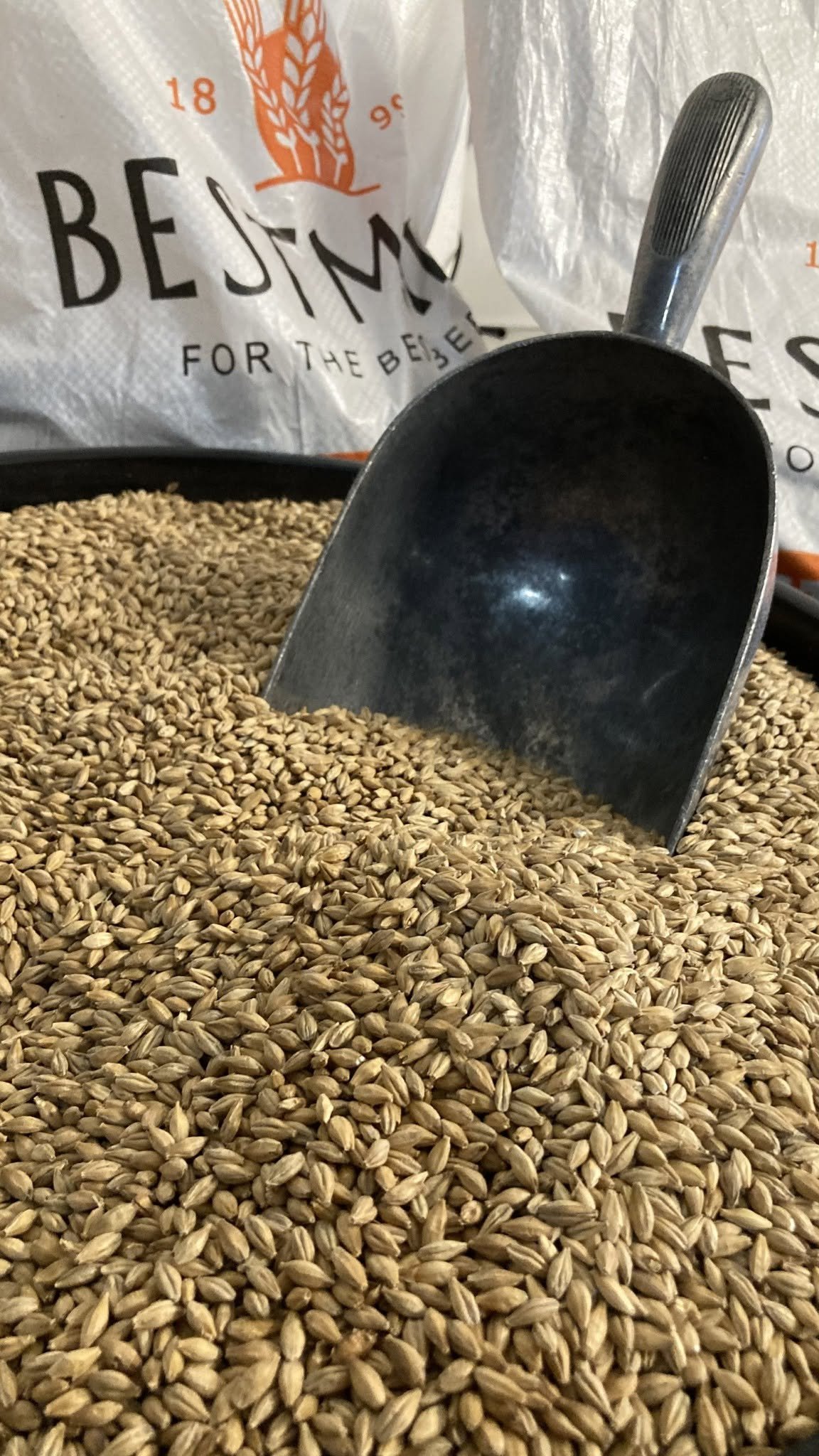 Équipement de brasserie 500L
